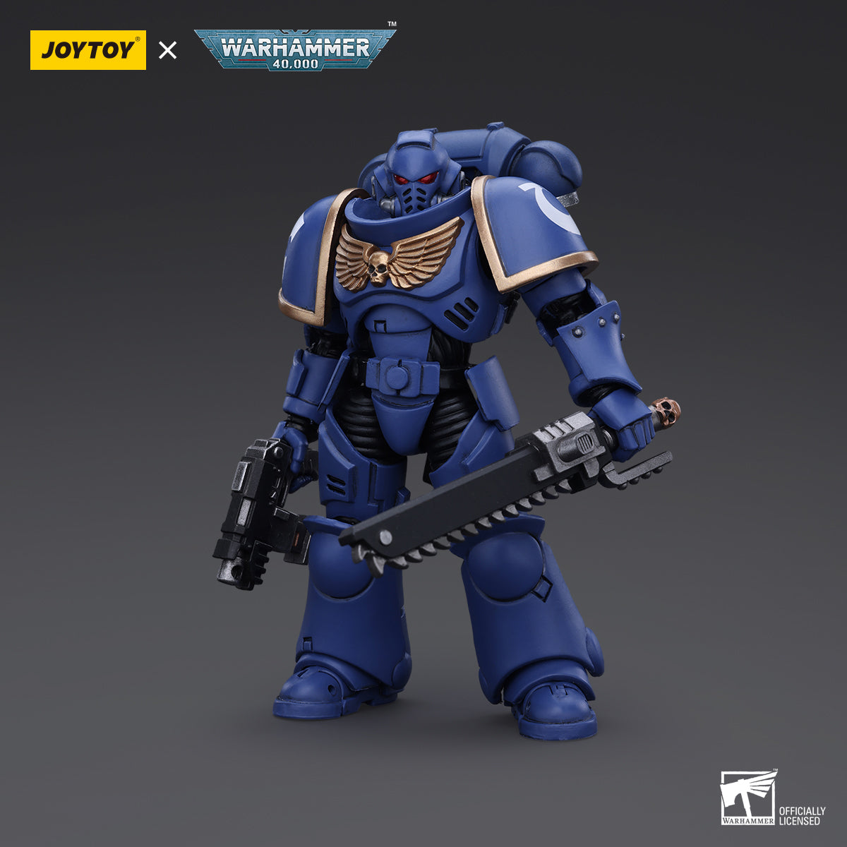 Space Marines Ultramarines Outriders Brother Catonus